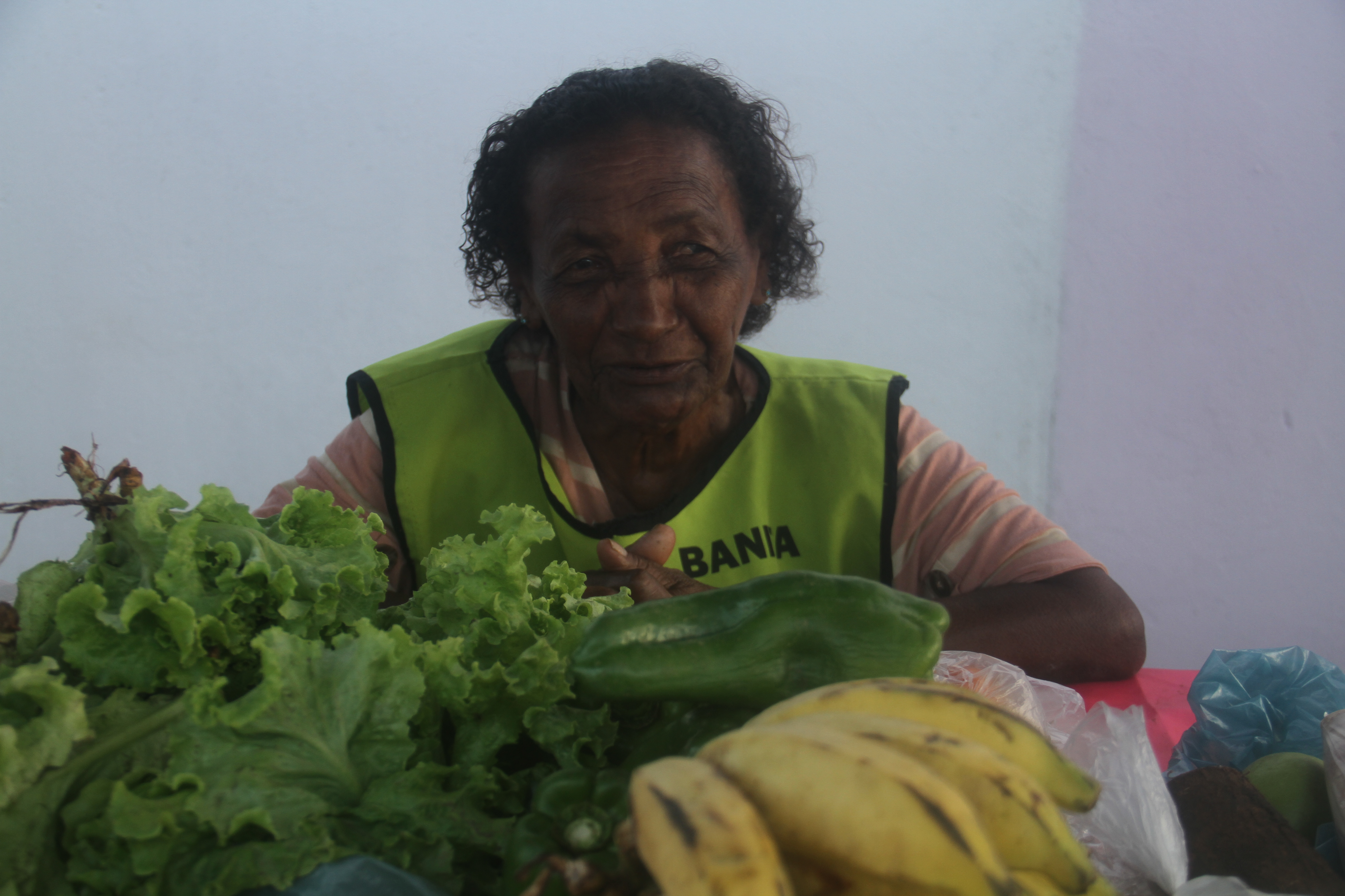 carrapatocultural.com 